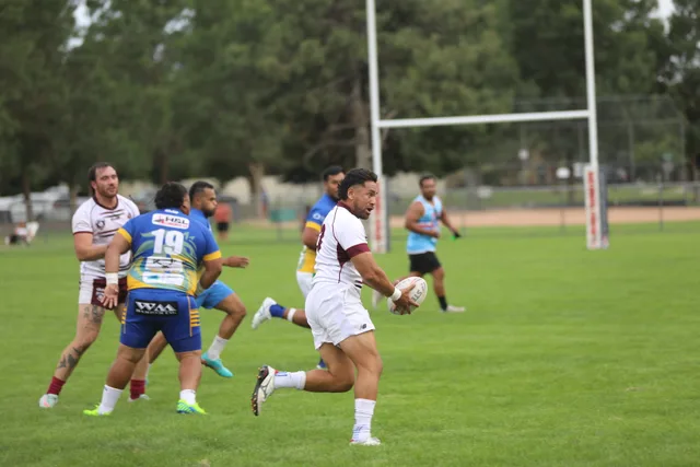 Seagulls match photo