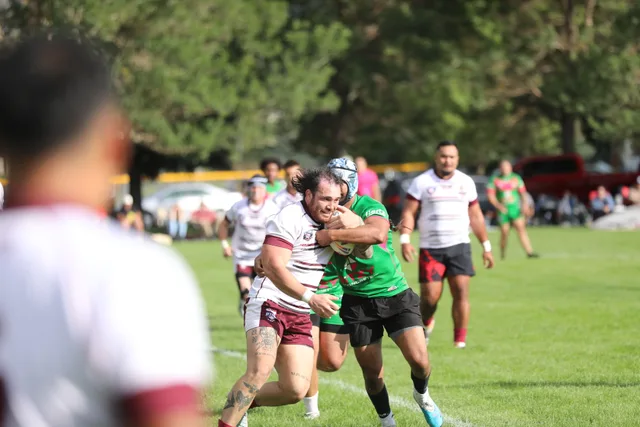 Seagulls match photo